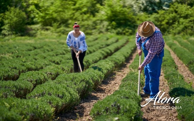Edital FINEP AgriFam ICT 2026 com R$ 150 milhões para projetos de inovação em agricultura familiar e bioeconomia